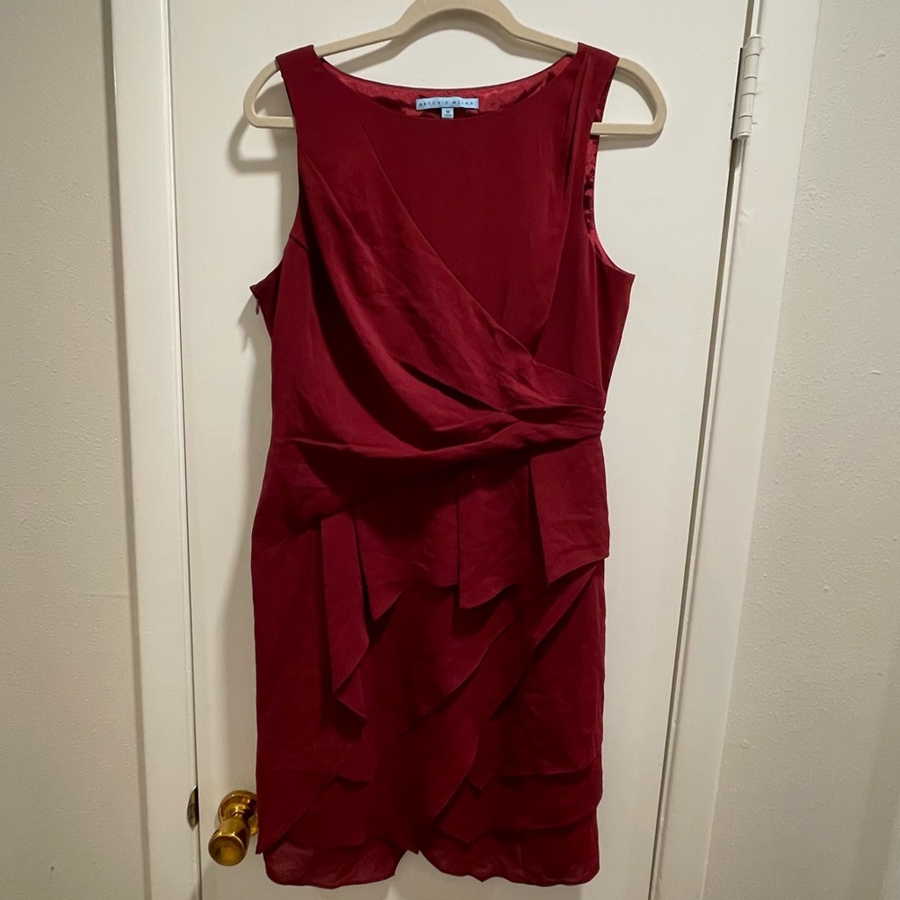 NWOT ANTONIO MELANI Asymmetrical Burgundy Dress